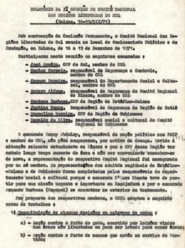 Relatório da Iª Reunião do Comité Nacional das Regiões Libertadas do Sul